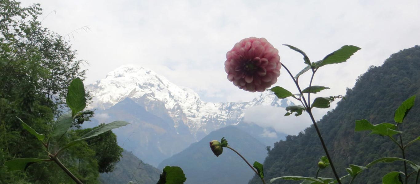 Onr of Best Trekking in Nepal