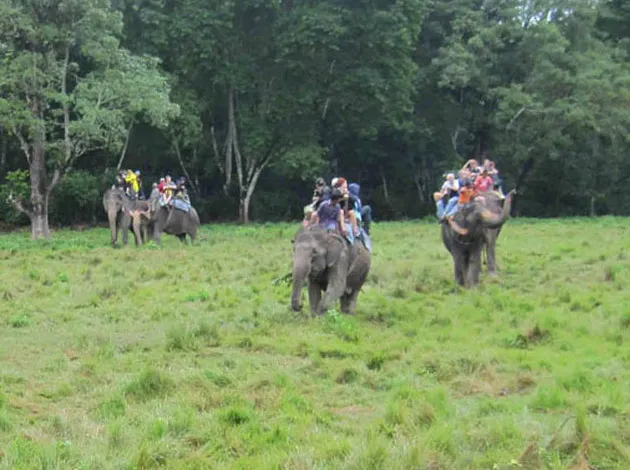 Jungle Safari Nepal