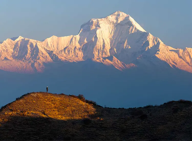 Ghorepani Poon Hill Trek