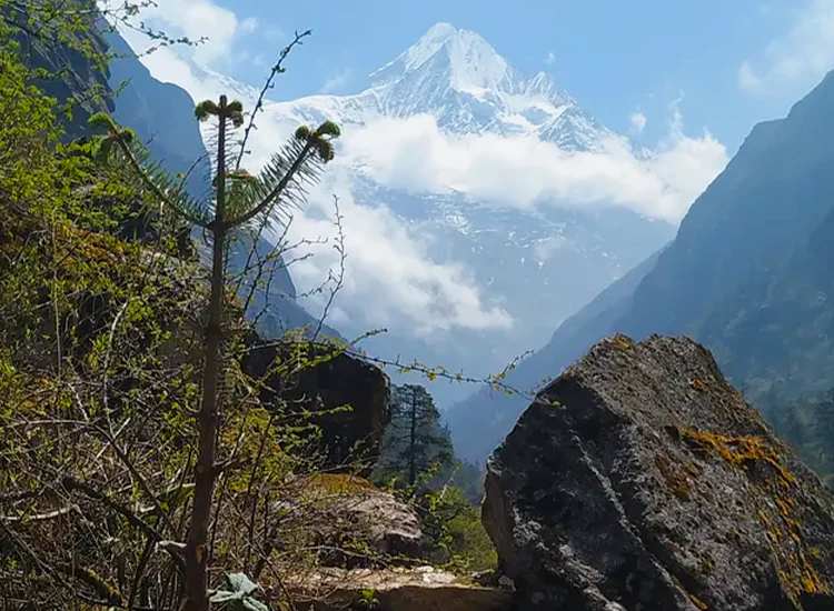 Rolwaling Valley Trek